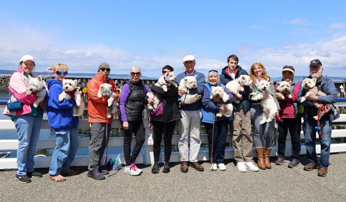 NW Westie Walk