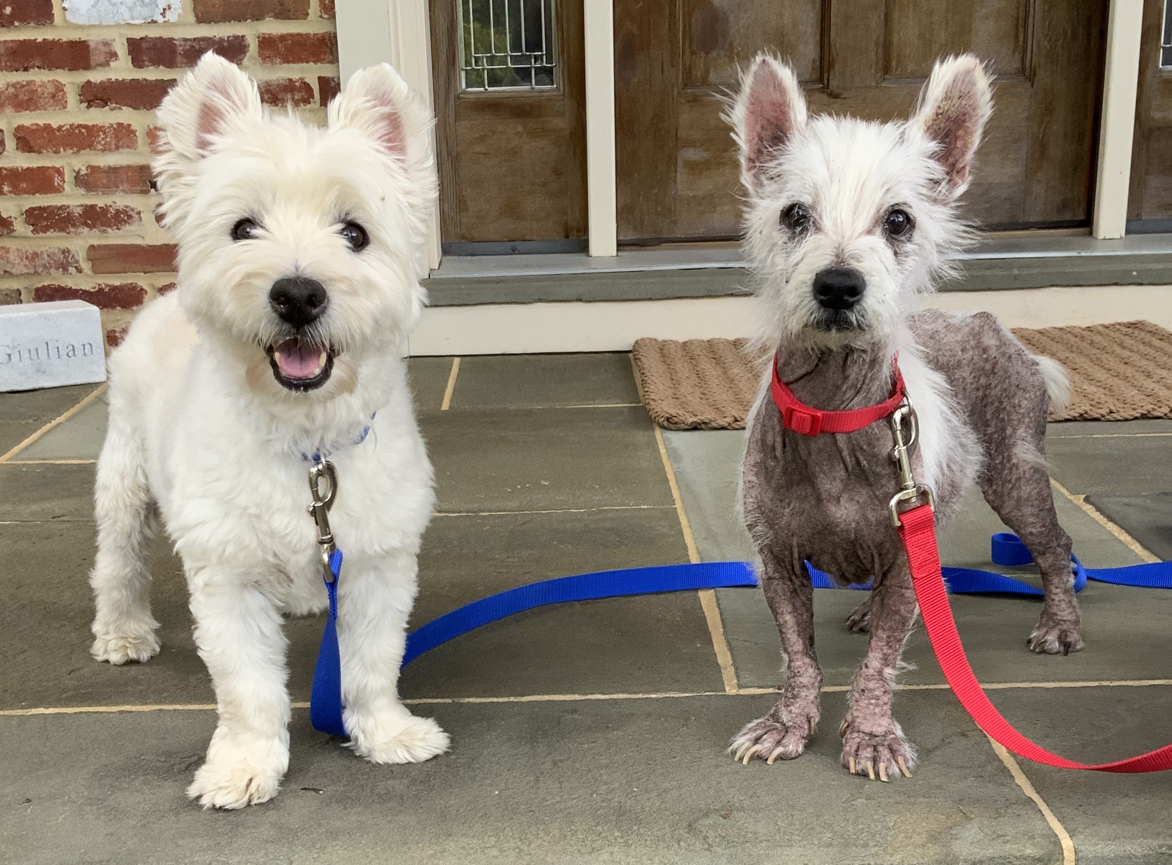 Stan and Dave Before