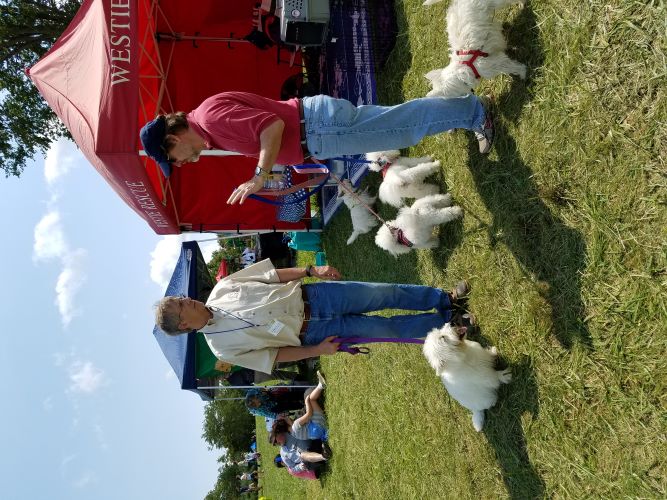 Westie_Rescue_Info_Tent.jpg