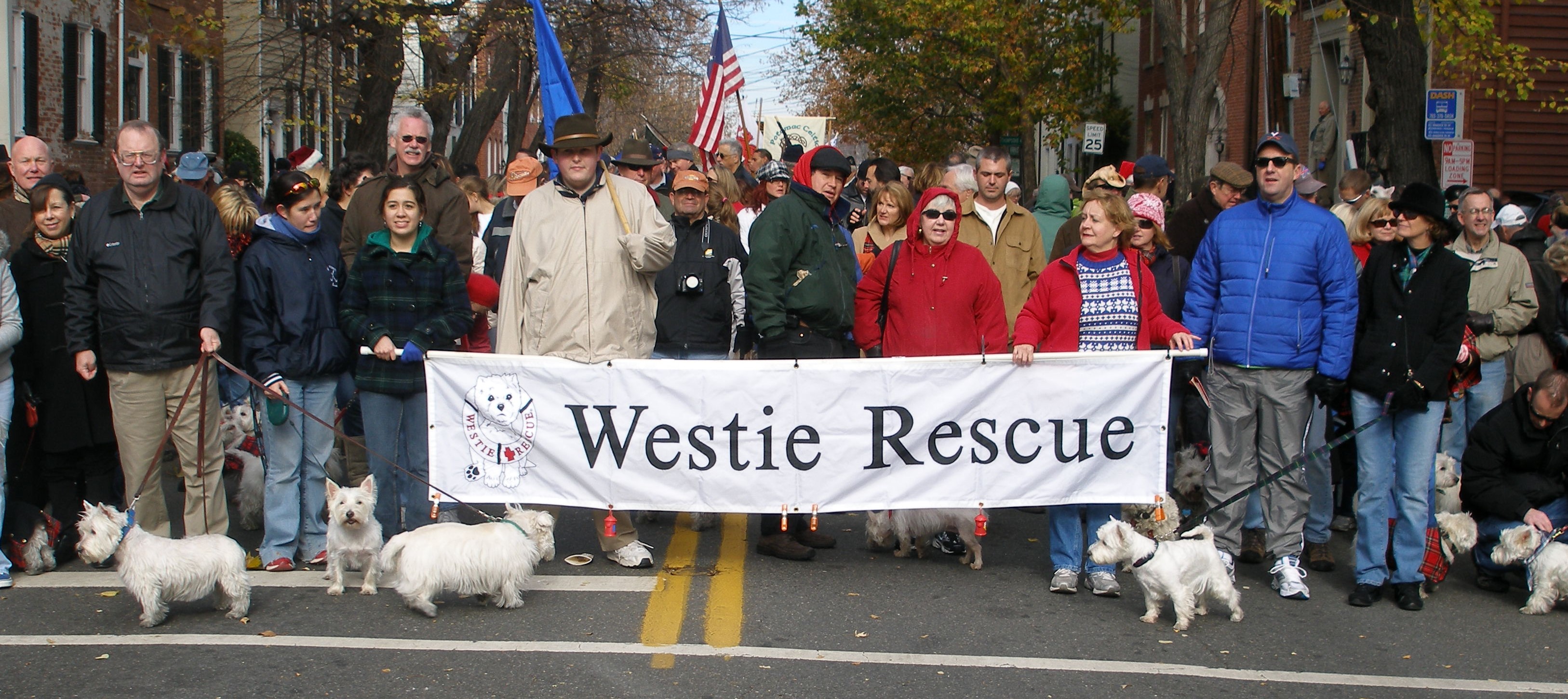 2024 Westie Christmas Walk Parade Dec 7th Westie Rescue Blog