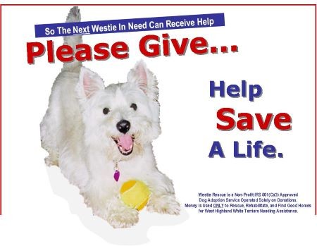 Help Save a Life!
