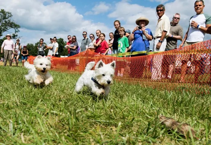 20220804_VA-Scottish-Games-Fauquier-Times