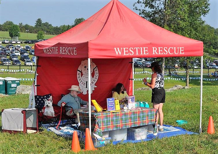 westie rescue MidAtlantic at the VA Scottish Games