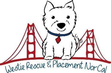 Westie Rescue and Placement of Northern California