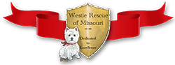 Westie Rescue of Missouri