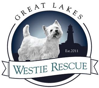 Great Lakes Westie Rescue