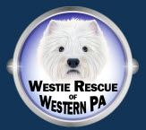 Westie Rescue of Western PA