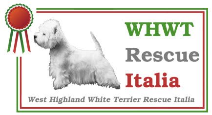 West Highland White Terrier Rescue Italia