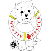 West Highland White Terrier Club of Queensland